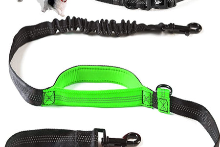 Hands Free Dog Leash for Running, Walking, Hiking, Cycling and Training. Bungee Harness, Adjustable Waist Belt, Single or Double Handle, Reflective Stitching. Medium and Large Dogs