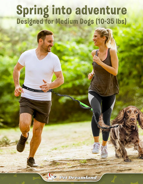 Load image into Gallery viewer, Hands Free Dog Leash for Running, Walking, Hiking, Cycling and Training. Bungee Harness, Adjustable Waist Belt, Single or Double Handle, Reflective Stitching. Medium and Large Dogs
