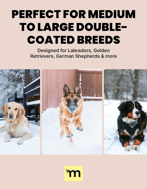 Load image into Gallery viewer, Dog Grooming Brush for Shedding - 2 in 1 Deshedding Tool and Undercoat Rake for Long and Short Haired Dogs with Double Coat - Dematting Comb and Pet Hair Deshedder Supplies (Large, Blue)
